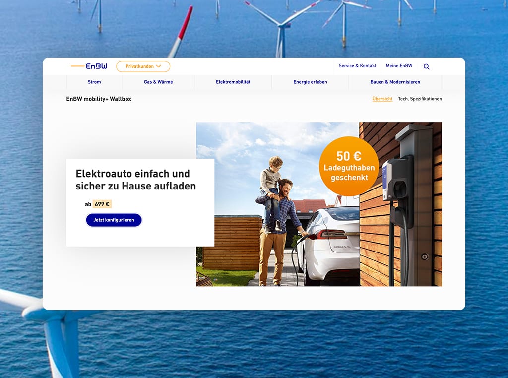 Screenshots of the EnBW Relaunch project